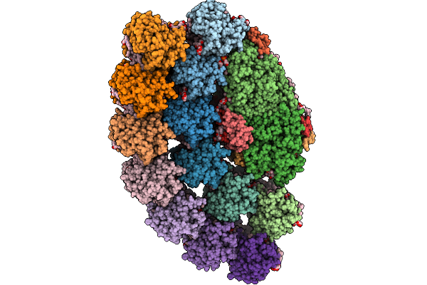 9LZK image