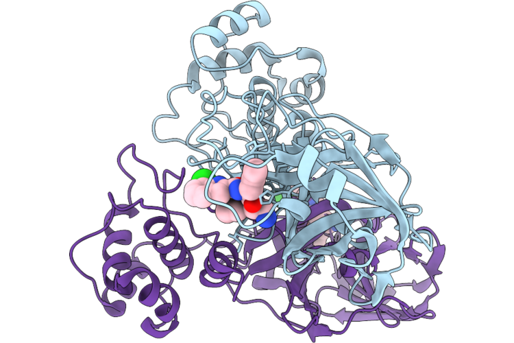 9LZS image