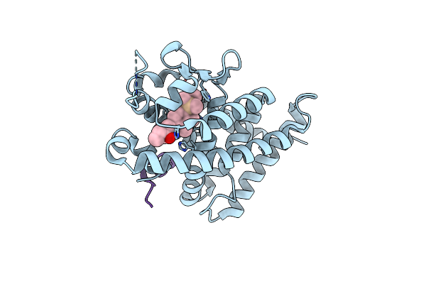 9M16 image