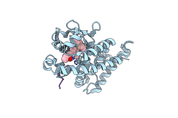 9M18 image