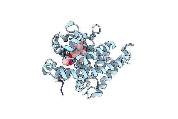 9M19 image