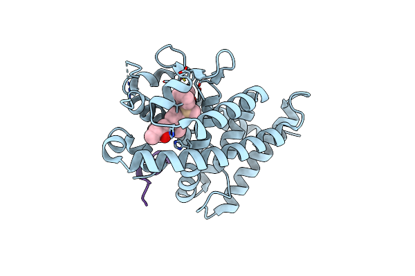 9M1C image