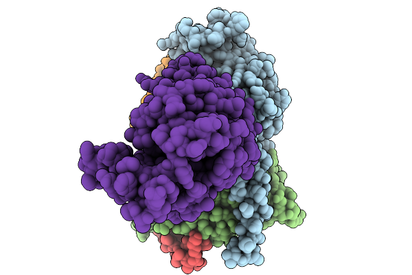 9M1P image