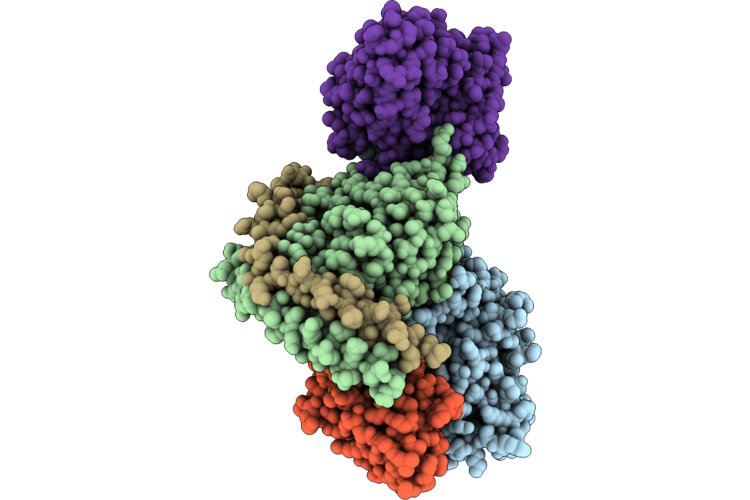 9M1R image