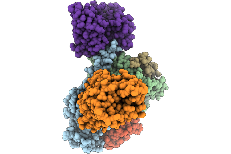 9M1U image