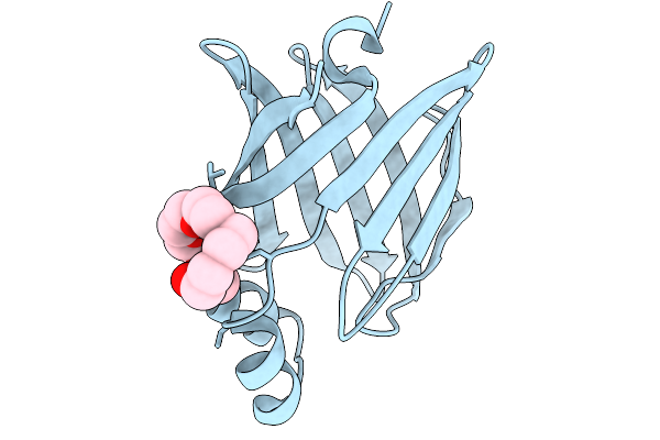 9M22 image