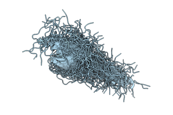 9M2D image