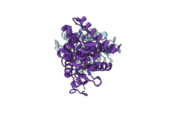 9M2E image