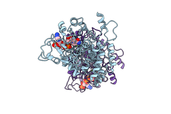 9M2I image