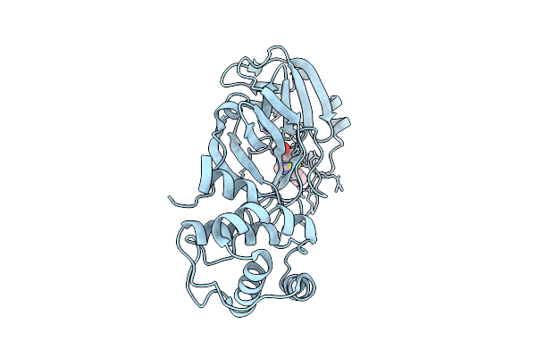 9M2V image