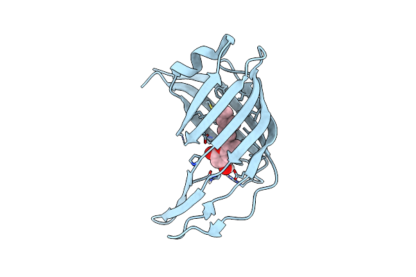 9M2Y image