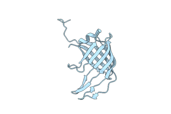 9M2Z image