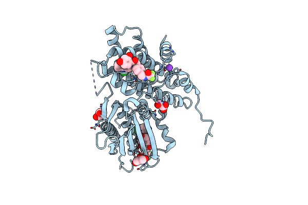 9M3P image
