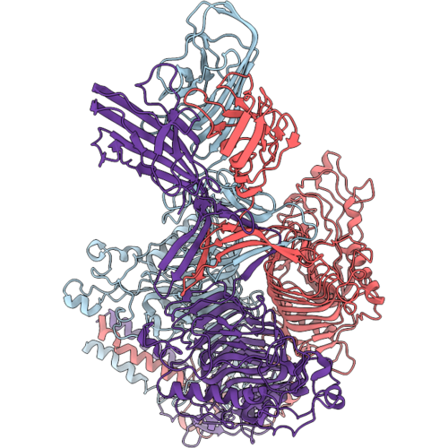 9M4C image