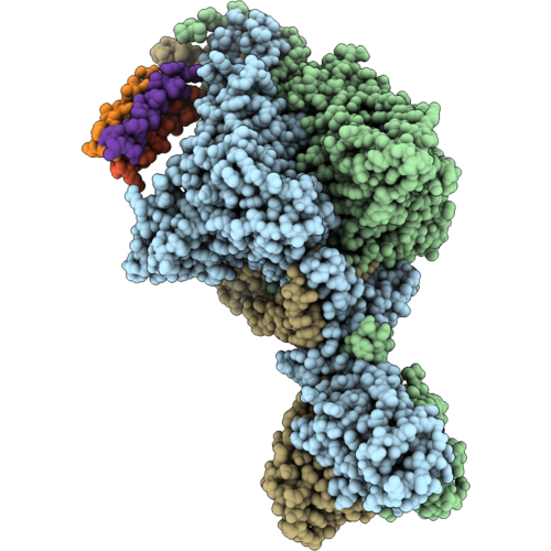 9M4D image
