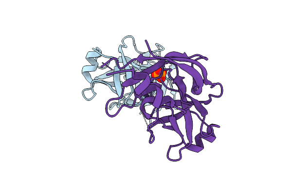 9M4G image