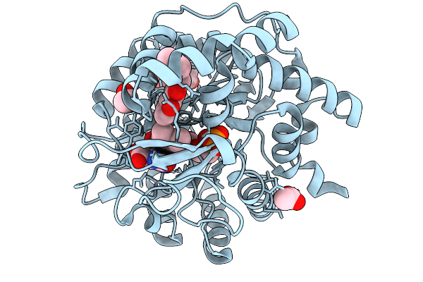 9M4O image