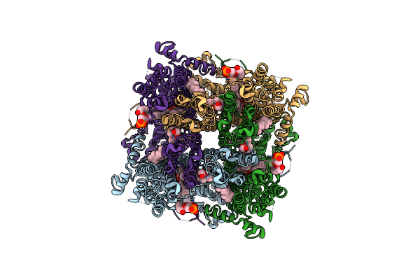 9M4W image