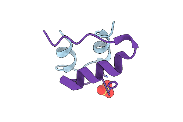 9M50 image