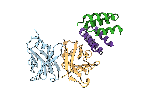 9M5D image