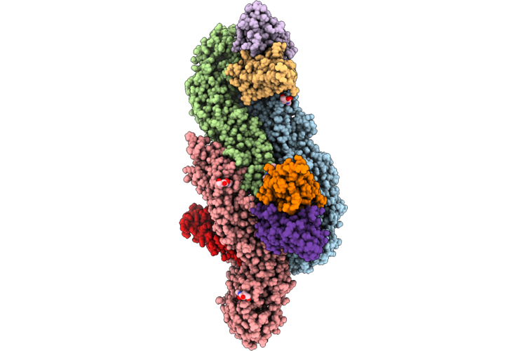 9M5H image