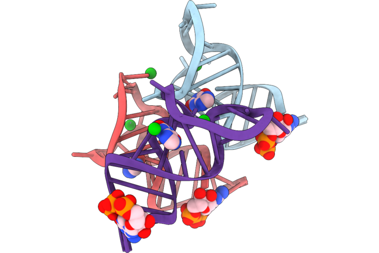 9M6C image
