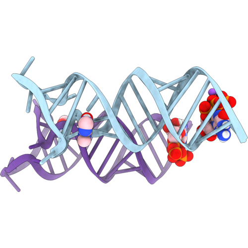 9M6D image