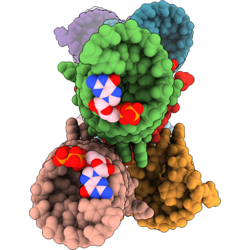 9M6E image