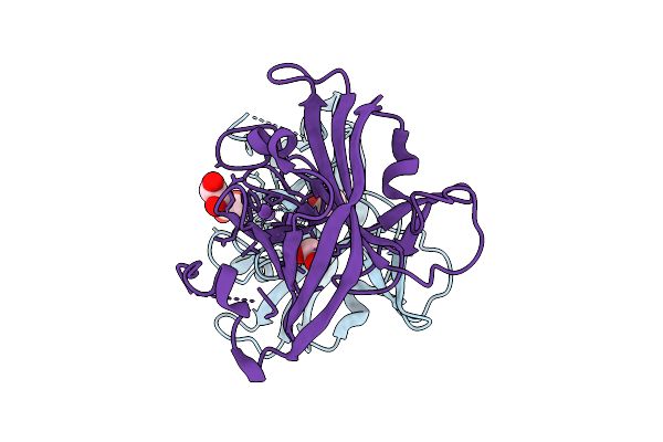 9M6N image