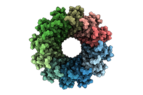 9M6X image