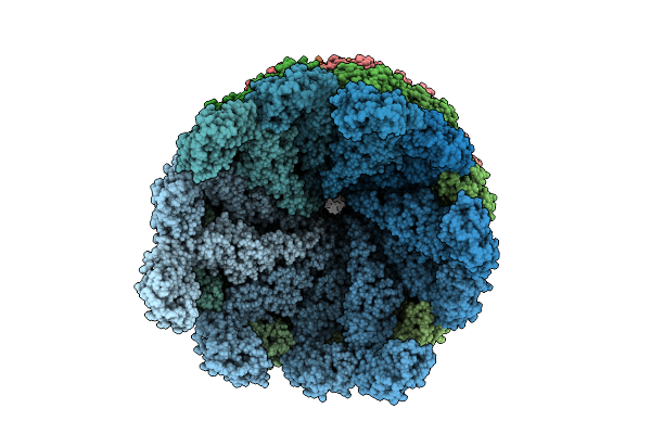 9M7B image