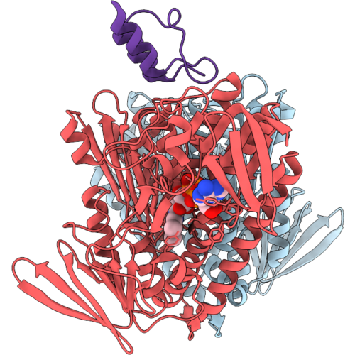 9M8E image