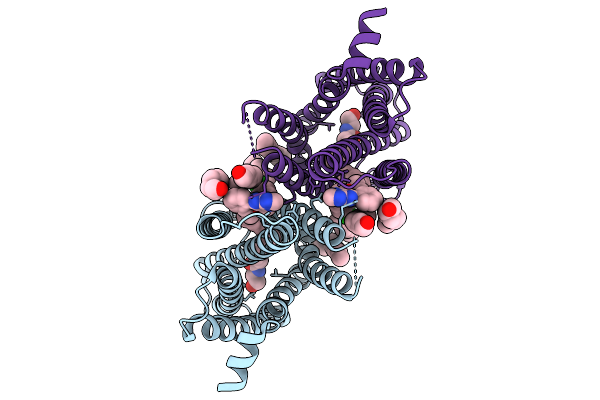 9M8P image
