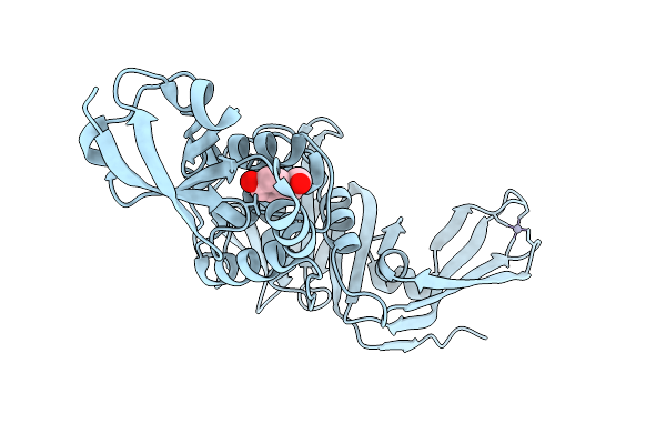 9M92 image