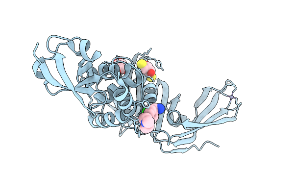 9M95 image