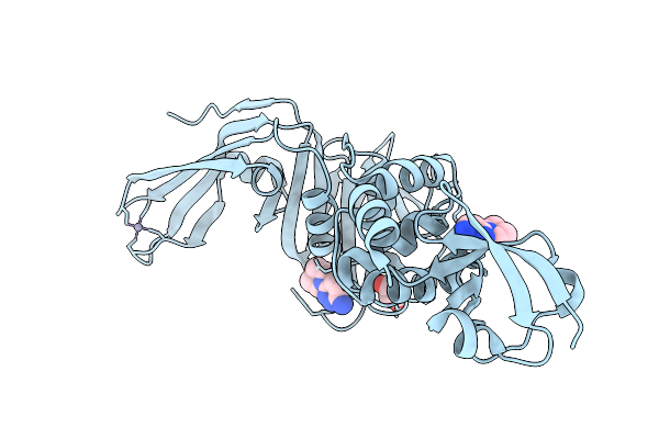9M96 image