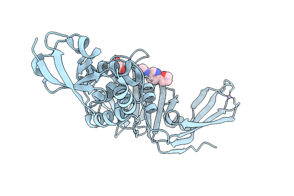 9M9B image