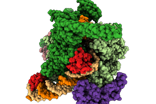 9M9D image