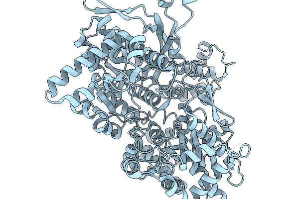9M9P image