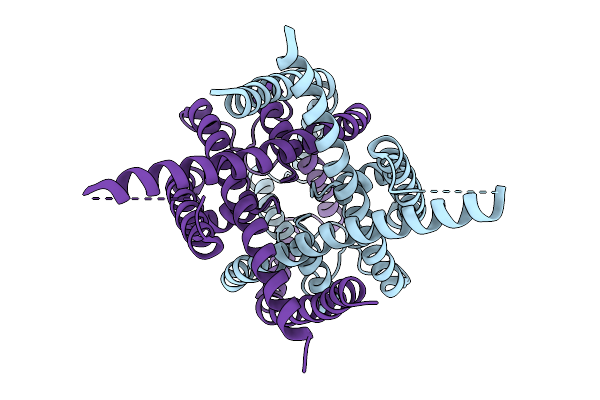 9M9W image