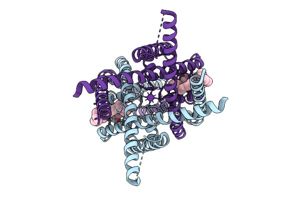 9M9X image