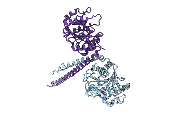9MA1 image