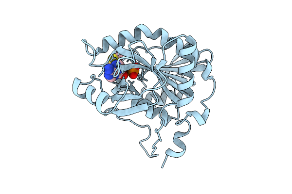 9MA4 image