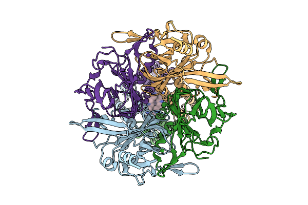 9MA5 image