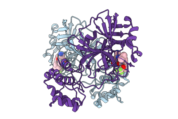 9MA6 image
