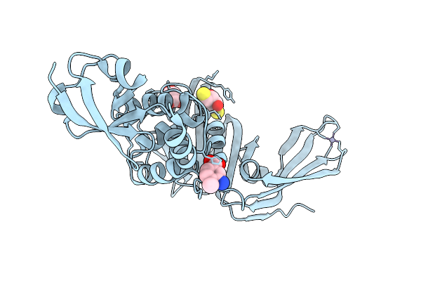 9MA9 image