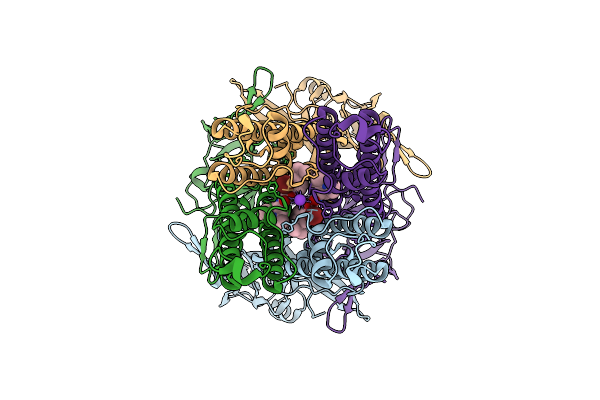 9MAG image