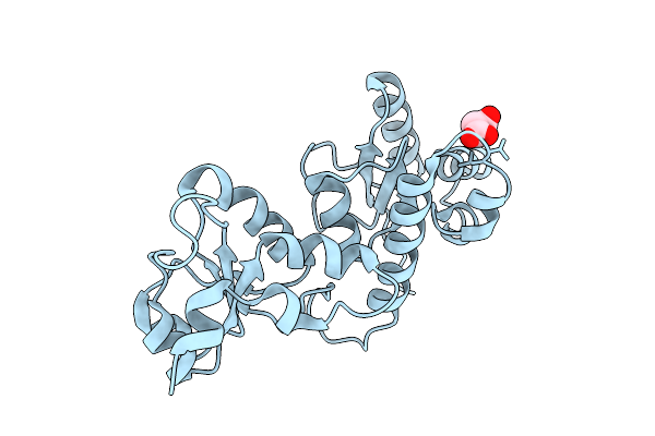 9MAT image