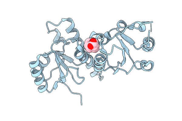 9MAW image