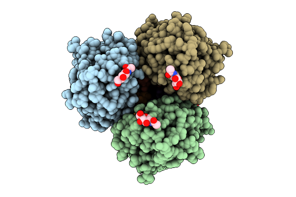 9MB5 image